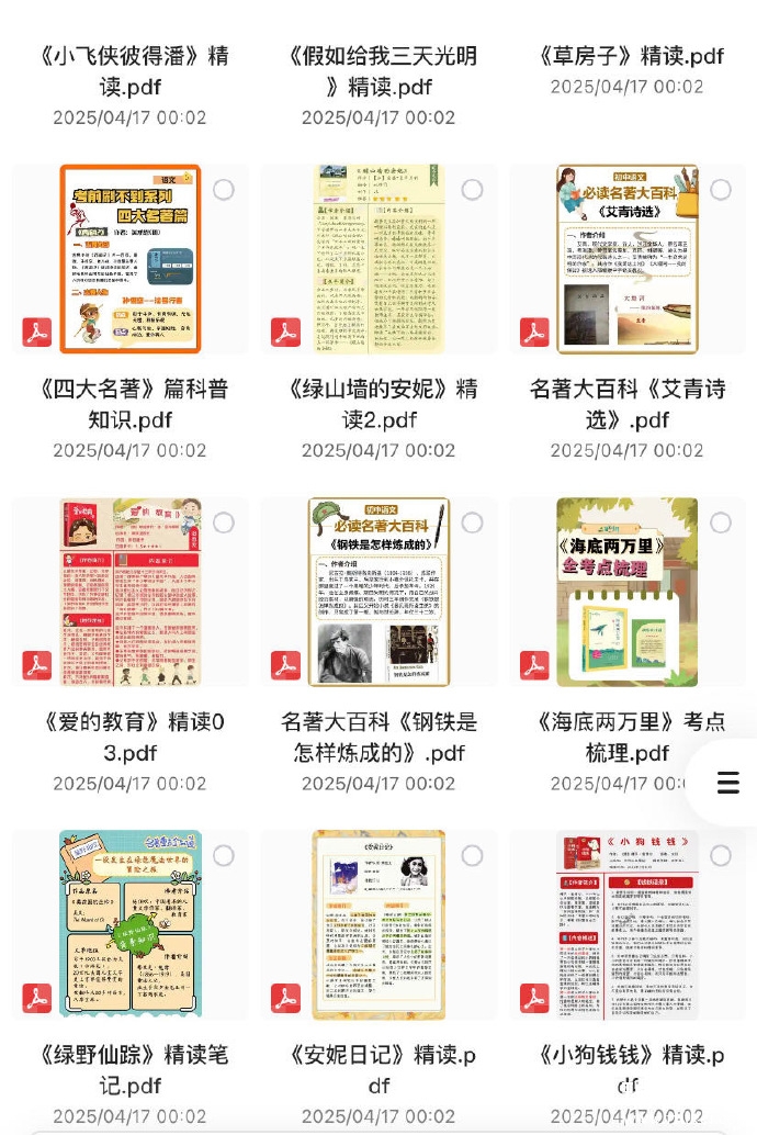 小红书近期爆火的《100部名著精读笔记》