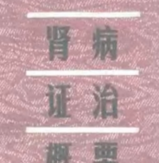 肾病中医证治 中医特色疗法